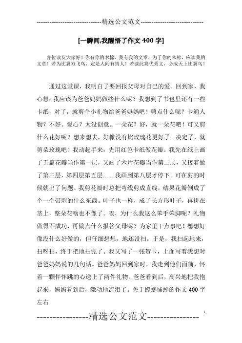 [一瞬间,我醒悟了作文400字]