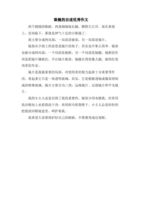 眼镜的自述优秀作文
