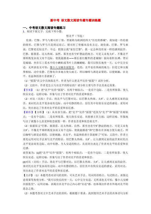 新中考 语文散文阅读专题专题训练题