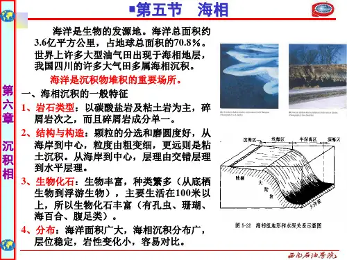 地质学基础6沉积相分析