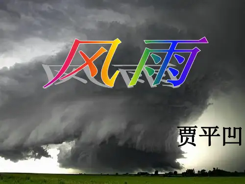 贾平凹《风雨》
