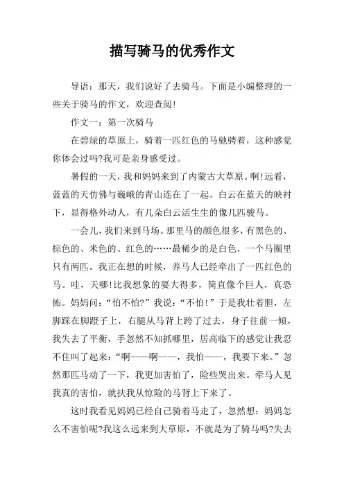 描写骑马的优秀作文