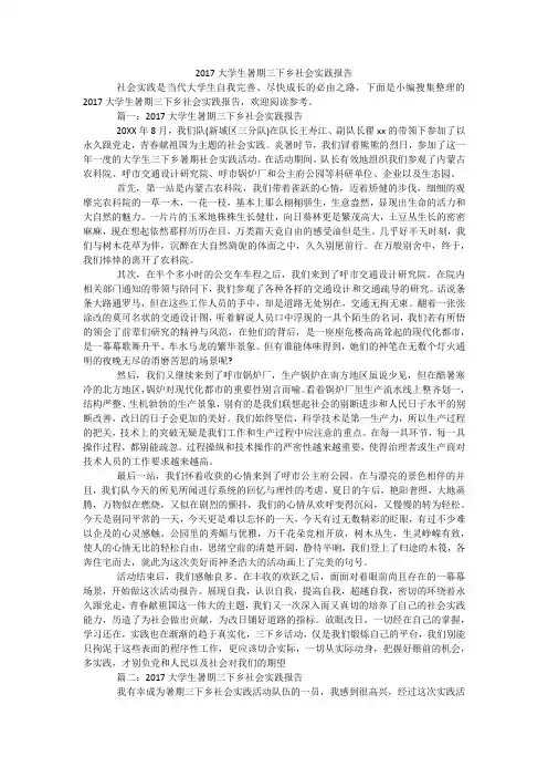 2017大学生暑期三下乡社会实践报告
