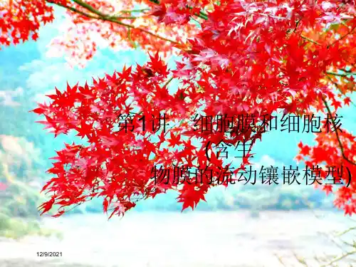 高考生物一轮复习 第2单元 第1讲 细胞膜和细胞核(含生物膜的流动镶嵌模型)课件 