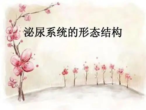人解实验开题报告.pptx