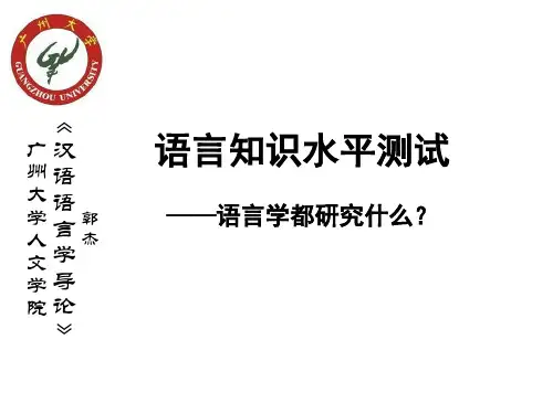 语言知识水平测试(语言学都研究什么？硕士)