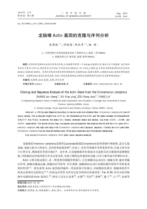 龙脑樟Actin基因的克隆与序列分析