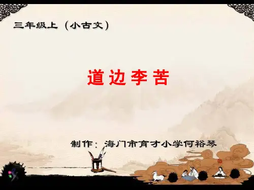 道边李苦