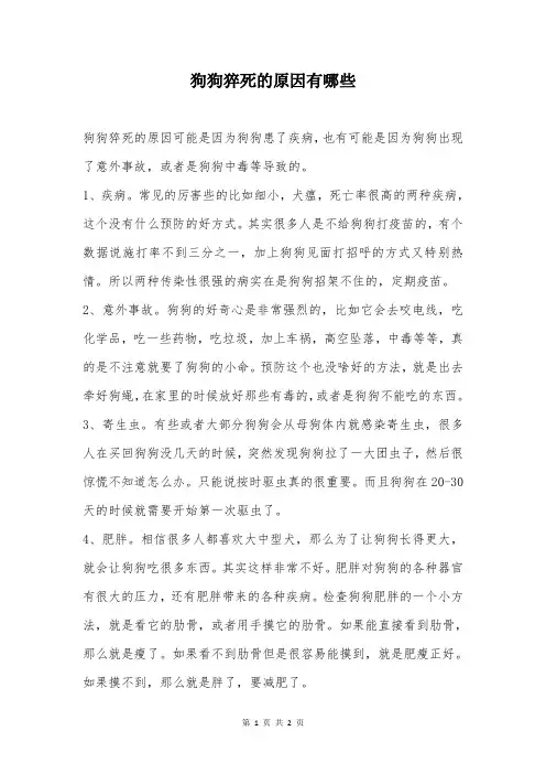 狗狗猝死的原因有哪些