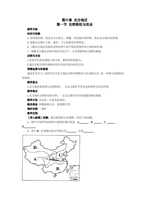 北方地区自然特征与农业(教案)---王建