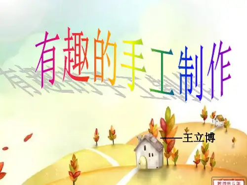 手工制作1 王立博