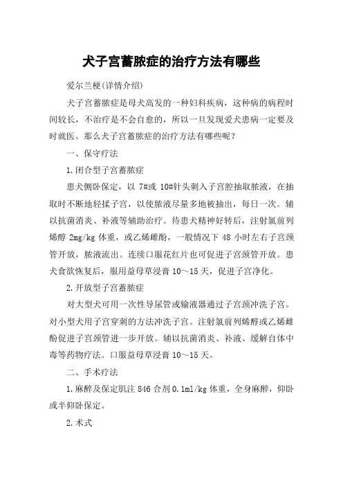 犬子宫蓄脓症的治疗方法有哪些