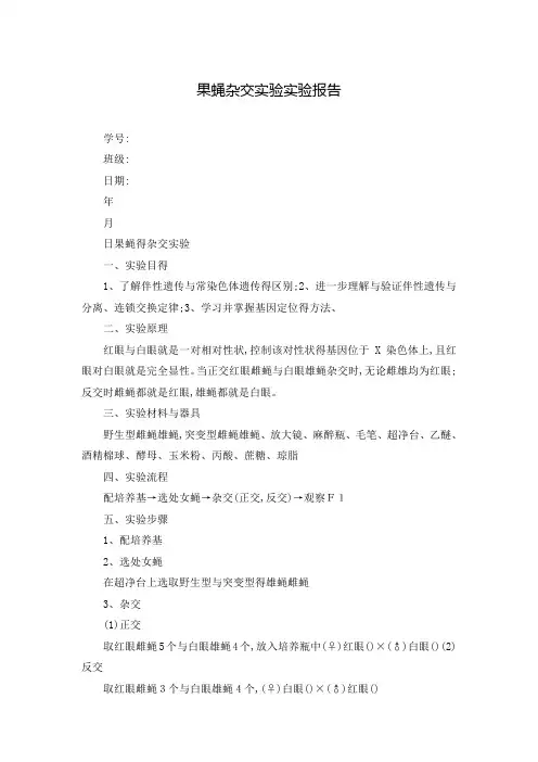 果蝇杂交实验实验报告 3