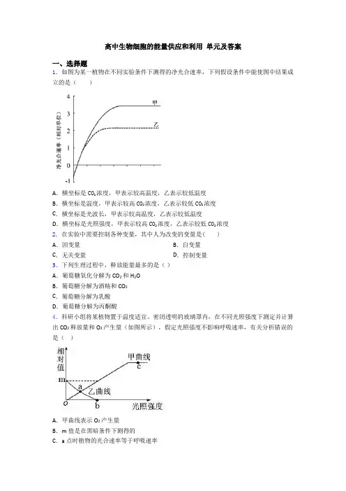 高中生物细胞的能量供应和利用 单元及答案