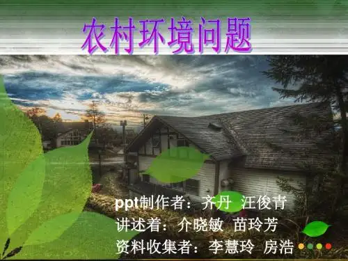 农村环境问题修改