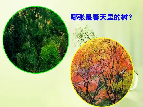 教科版科学三年级上册第一单元科学植物发生了什么变化精品课件