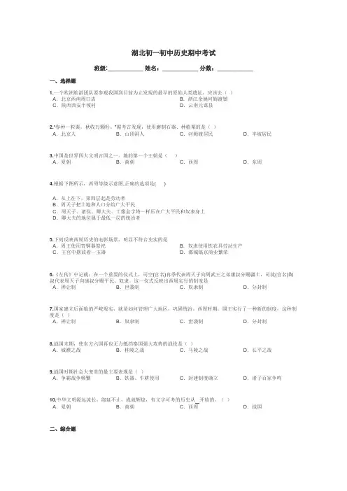 湖北初一初中历史期中考试带答案解析
