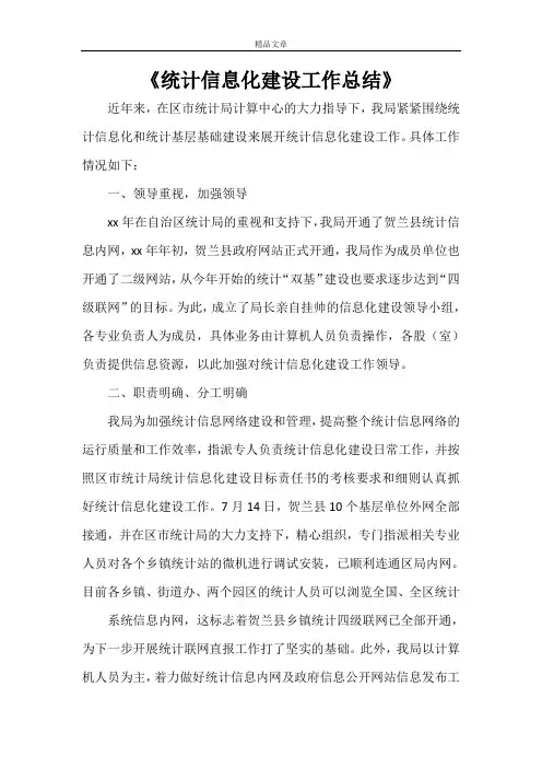 《统计信息化建设工作总结》