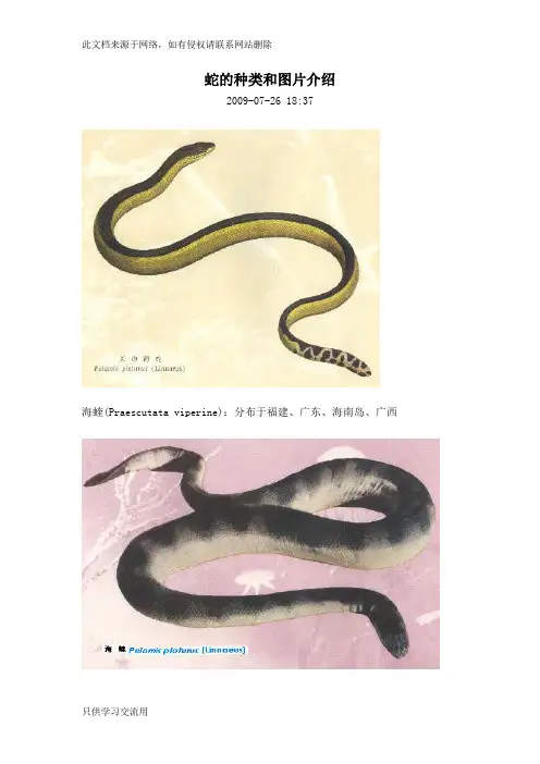 蛇的种类和图片介绍教学提纲