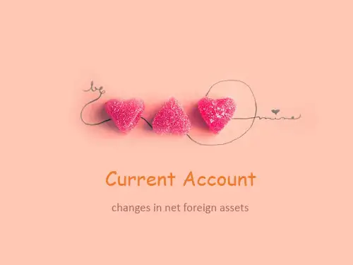 CURRENT ACCOUNT经常项目