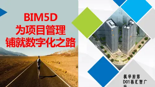 项目管理的数字化之路(最终版)