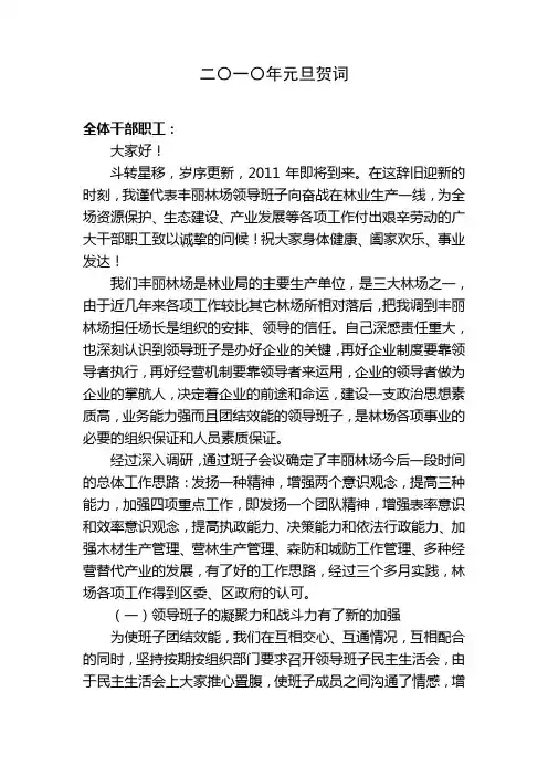 二〇一〇年元旦贺词