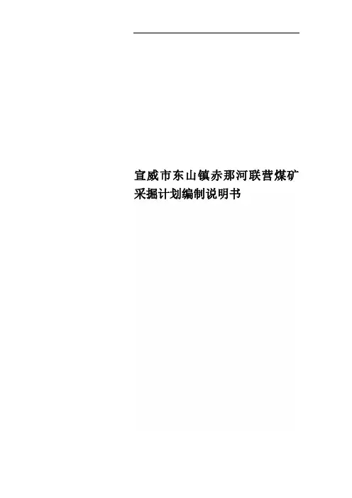 宣威市东山镇赤那河联营煤矿采掘计划编制说明书