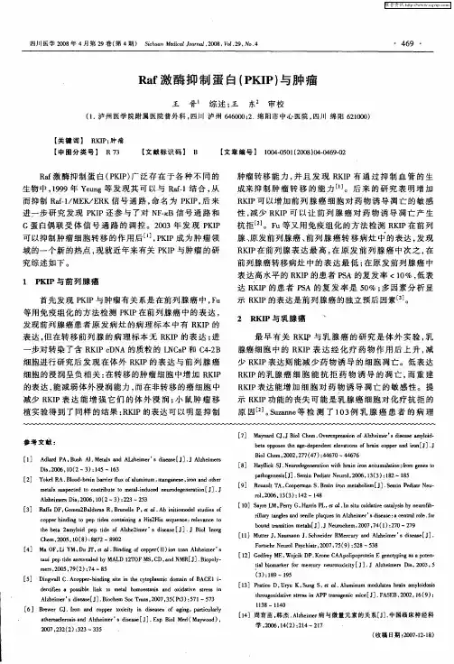 Raf激酶抑制蛋白(PKIP)与肿瘤
