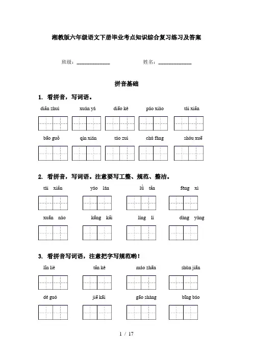湘教版六年级语文下册毕业考点知识综合复习练习及答案