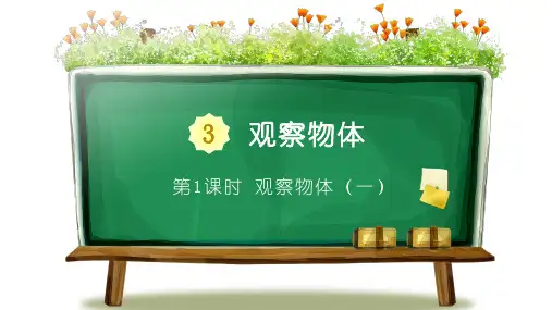 第1课时 观察物体(一)