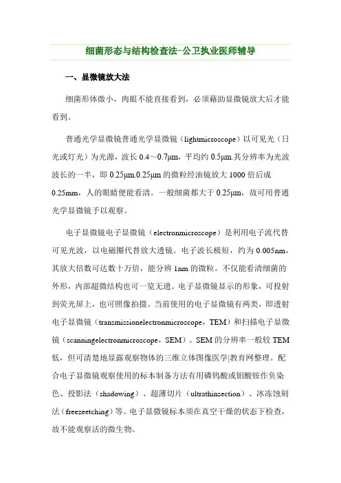 细菌形态与结构检查法-公卫执业医师辅导