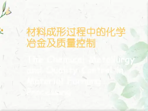 材料成型过程的化学冶金PPT