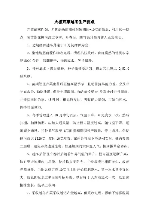 大棚芹菜越冬生产要点