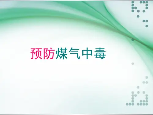 预防煤气中毒 ppt课件