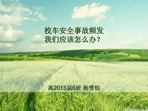 《校车安全事故》PPT课件