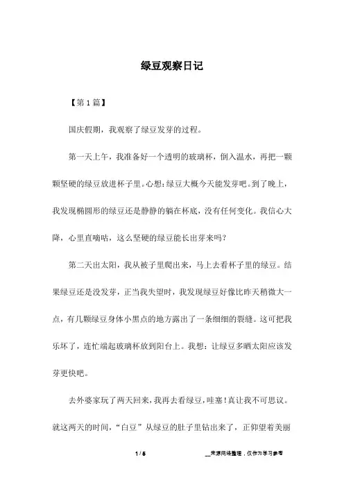 绿豆观察日记 2