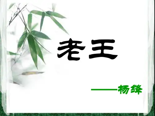 老王 名师 王君