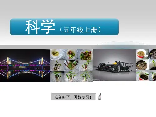 五年级上册科学期末复习