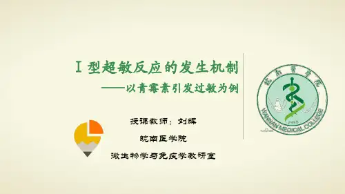 微课课件：I型超敏反应的发生机制——以青霉素引发过敏为例