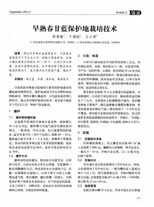 早熟春甘蓝保护地栽培技术