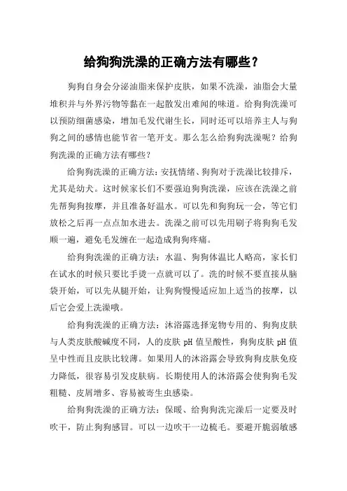 给狗狗洗澡的正确方法有哪些？