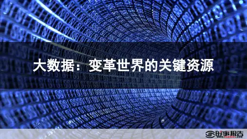 大数据:变革世界的关键资源