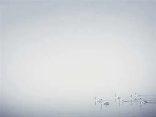 细节描写