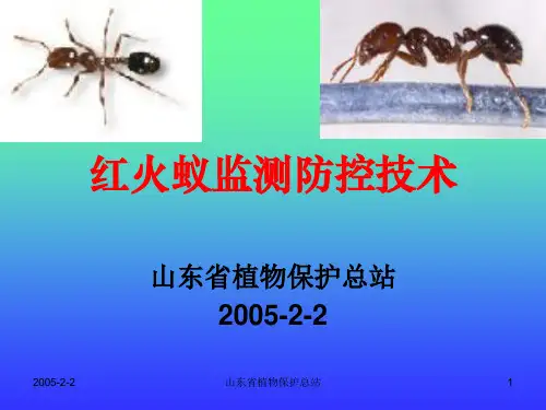 红火蚁监测防控技术