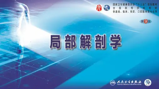 局部解剖学学第9版配套PPT-第二章 颈部