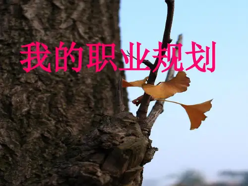 市场营销职业规划