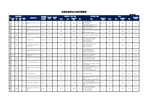 风险机遇评估与应对措施表模板