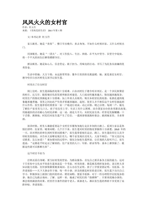 风风火火的女村官