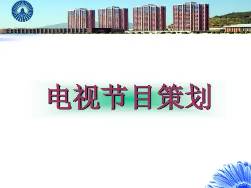 电视节目策划(1-4讲)