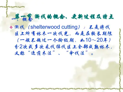 渐伐作业与森林更新